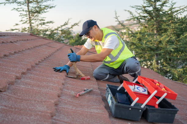 Best Metal Roofing Contractor  in Morris Plains, NJ