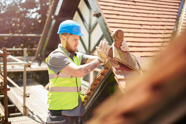 Best Roof Gutter Cleaning  in Morris Plains, NJ